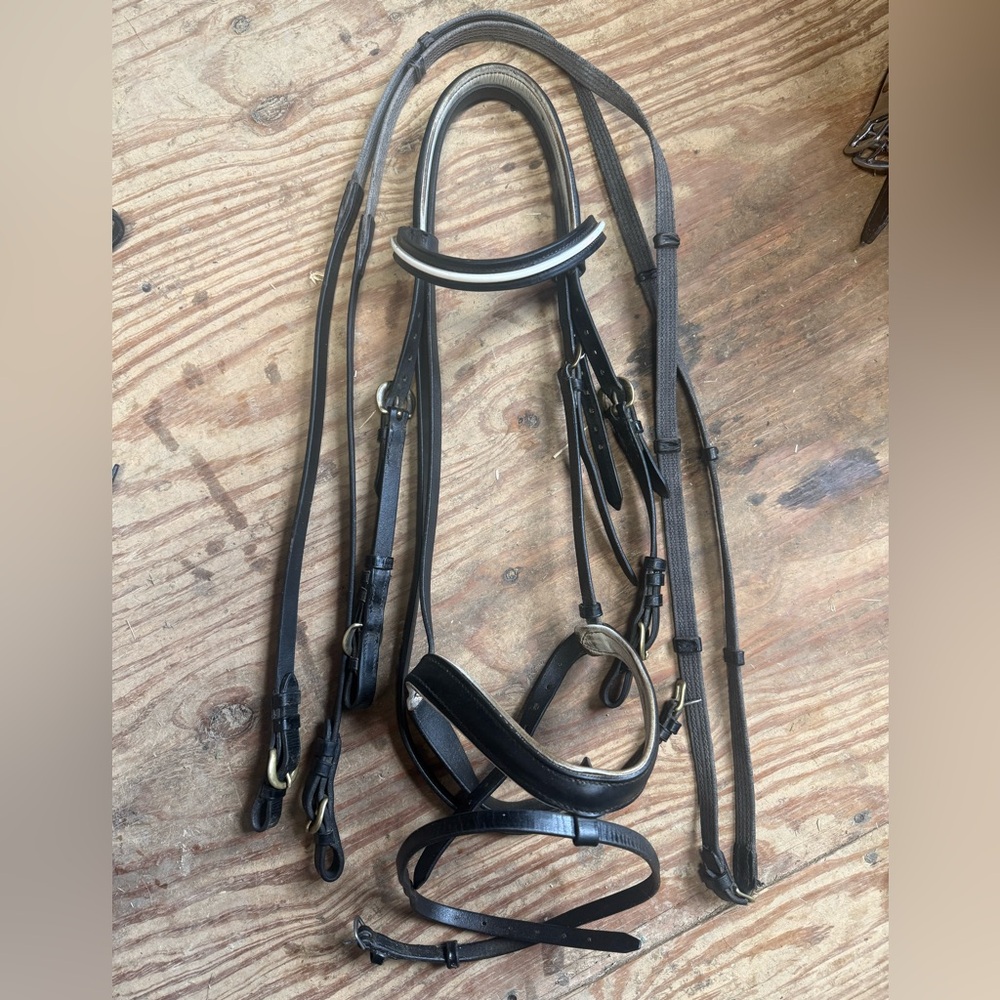 Kieffer flash bridle and reins